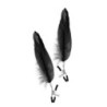 Pinzas Pezones Pluma Negra Sweet Caress