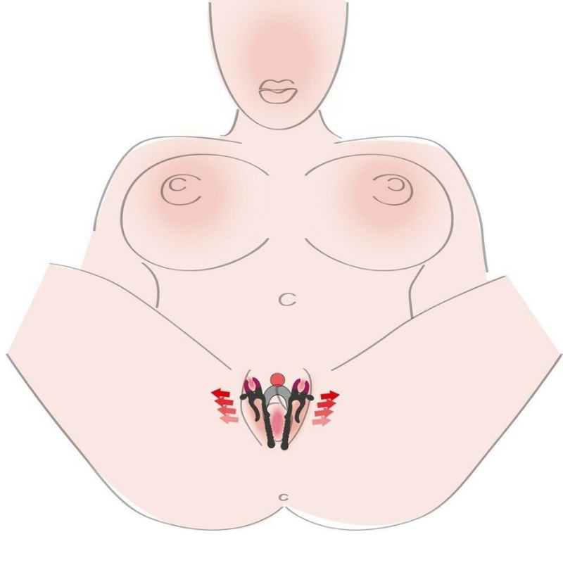 Pinzas Vaginales Intimate Spreader Strong