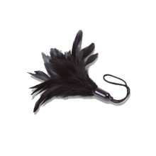 Plumero De Adrien Lastic Prestige