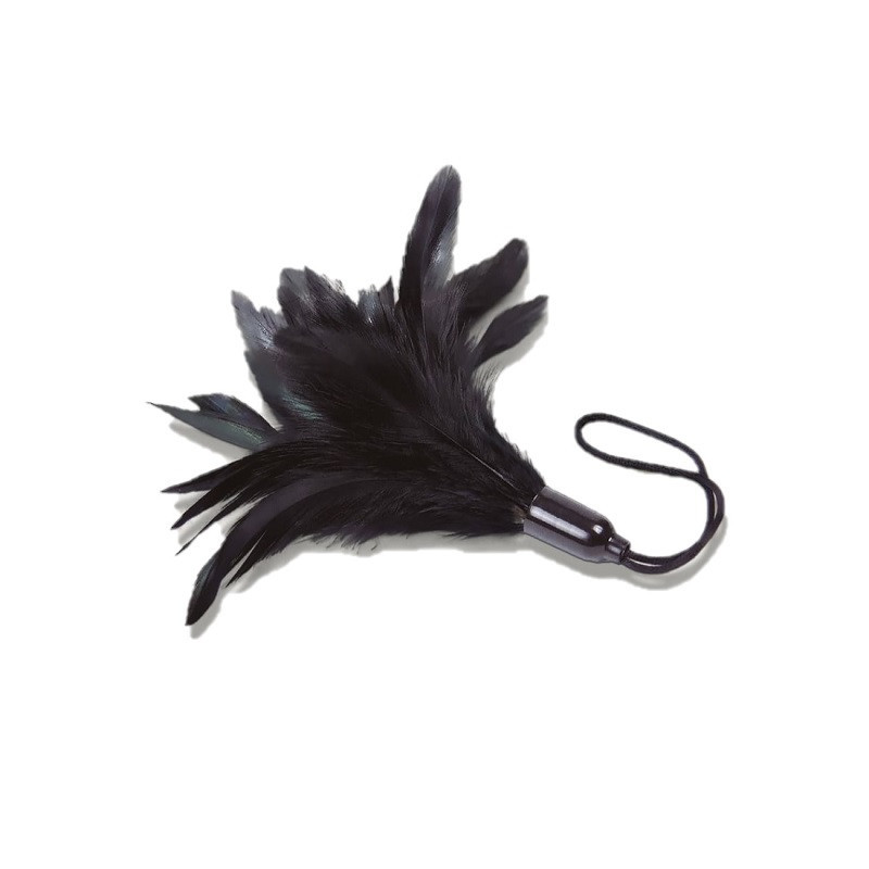 Plumero De Adrien Lastic Prestige