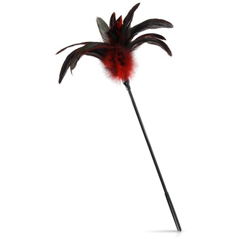 Plumero Glamy Tornasolado