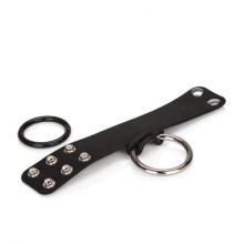 Set Anillos Scrotum Colt Calexotics