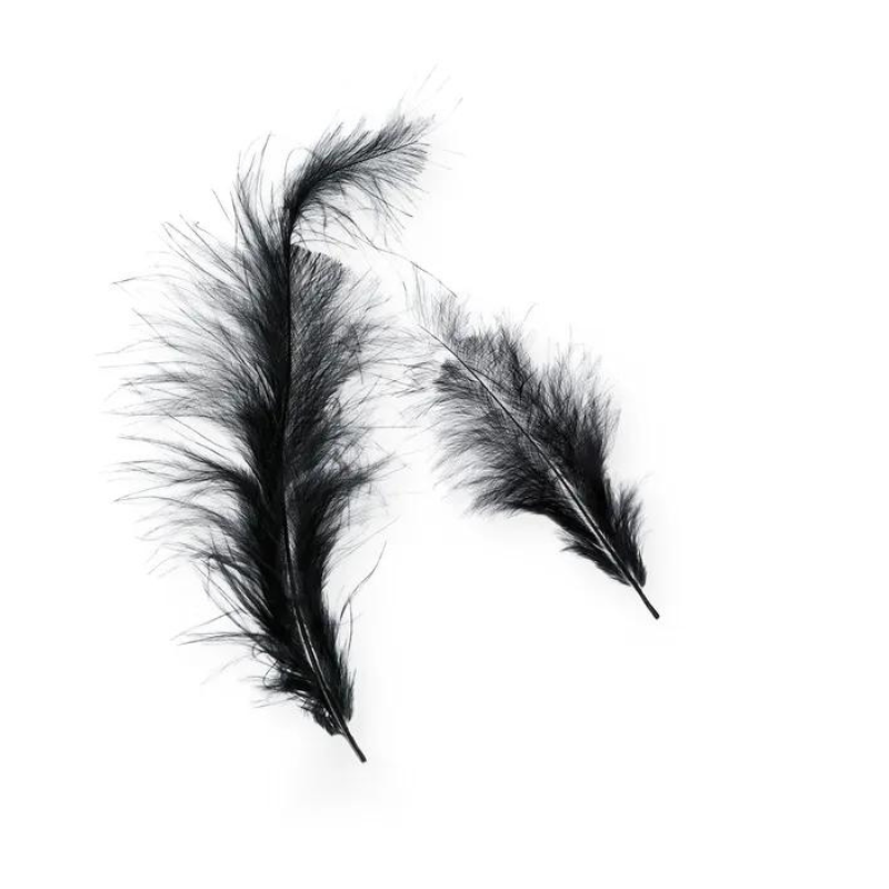 Set esposas + Antifaz + Plumas Negro