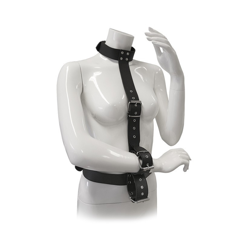 Sistema De Retención Arnés Blaze Con Collar