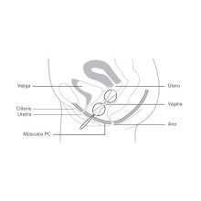 Set Bolas Chinas Mini Luna Beads De Lelo