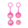 Set Kegel Balls Brisa Evoque Rosas