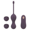 Set Vibrador Kegel Training Control Remoto Iduna Dream Toys