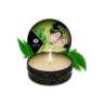 Vela de Masaje Té Verde Shunga Zenitude 30 ml