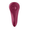 Vibrador APP Control Estimulador Recargable Satisfyer Panty Sexy Secret