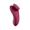 Vibrador APP Control Estimulador Recargable Satisfyer Panty Sexy Secret