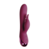 Vibrador Doble Estimulación Recargable Festival Brole