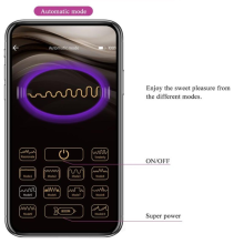 Vibrador Recargable APP Ethan Pretty Love