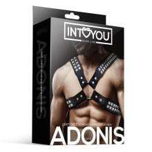 Arnés Ajustable Masculino BDSM Line Adonis