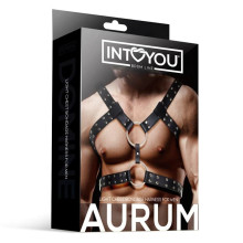 Arnés Ajustable Masculino BDSM Line Aurum
