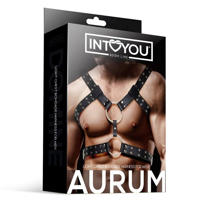 Arnés Ajustable Masculino BDSM Line Aurum