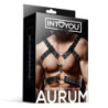 Arnés Ajustable Masculino BDSM Line Aurum