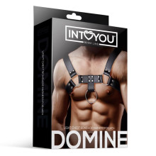 Arnés Ajustable Masculino BDSM Line Domine