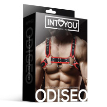 Arnés Ajustable Masculino BDSM Line Odiseo Negro y Rojo