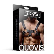 Arnés Ajustable Masculino BDSM Line Quovis