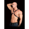 Arnés Ajustable Ouch Adonis High Halter