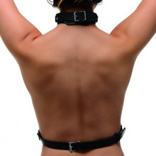 Arnés BDSM Strict Para Pecho Con Collar Y Anillas