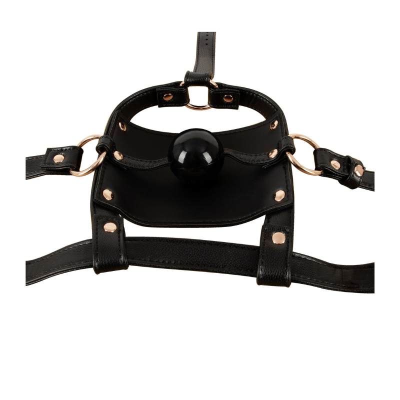 Arnés de Cabeza con Mordaza/Bozal Bad Kitty