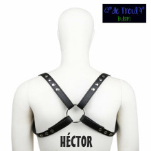 Arnés De Troula Cuerpo Héctor