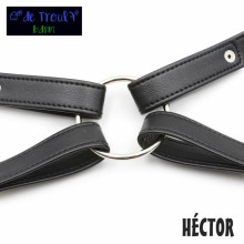 Arnés De Troula Cuerpo Héctor