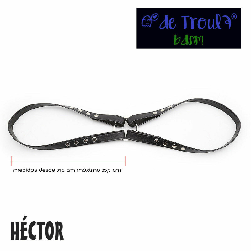 Arnés De Troula Cuerpo Héctor