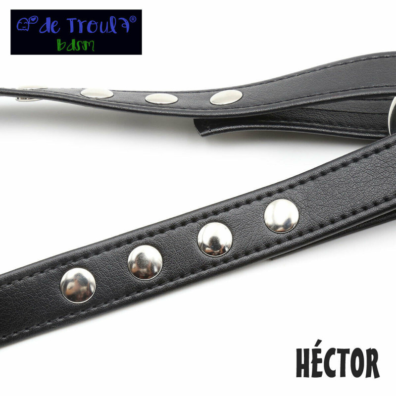 Arnés De Troula Cuerpo Héctor