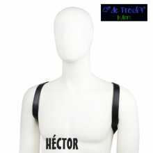 Arnés De Troula Cuerpo Héctor