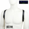 Arnés De Troula Cuerpo Héctor