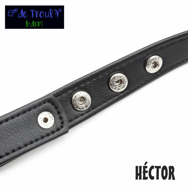 Arnés De Troula Cuerpo Héctor