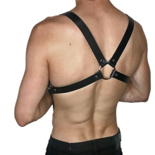 Arnés Torso Ajustable 62048