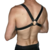 Arnés Torso Ajustable 62048