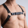 Arnés Torso Ajustable 62048