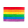 Bandera LGTBI 90 x 60 cm