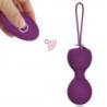 Bolas Chinas Kit Kegel Balls + LRS Remote Control