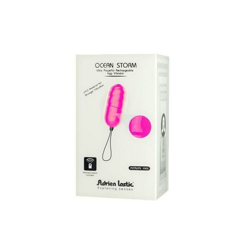 Control Remoto Huevo Recargable Ocean Storm De Adrien Lastic