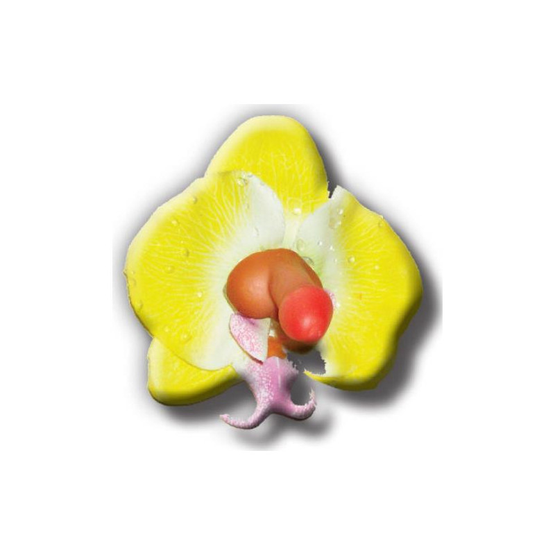 Broche Pin Flor Loto