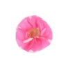 Broche Pito Rosa Conejitos