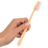 Cepillo de Dientes Pene
