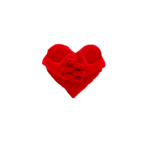 Cojín Corazón Brazos