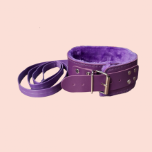 Collar y Correa  Basic Morado