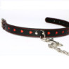 Collar Y Correa Argus Fetish Corazones Rojos