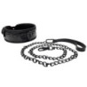 Collar Y Correa BTB Negro