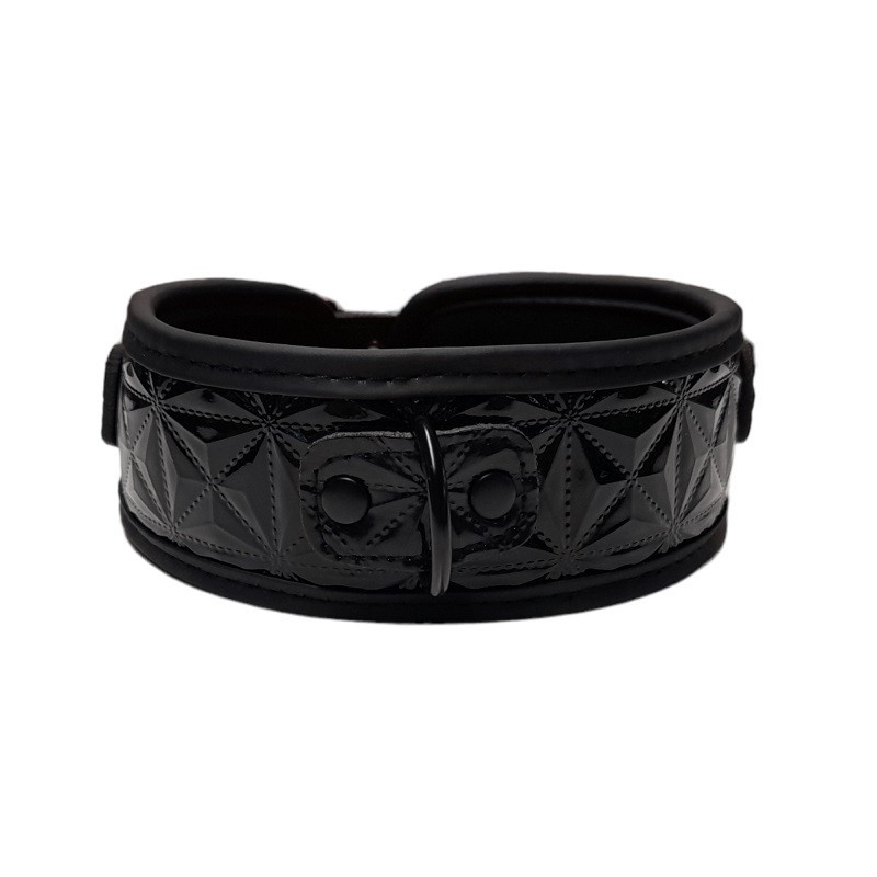 Collar Y Correa BTB Negro