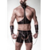 Conjunto BDSM Grey Velvet 20053