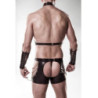 Conjunto BDSM Grey Velvet 20053