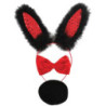 Conjunto Diadema Bunny